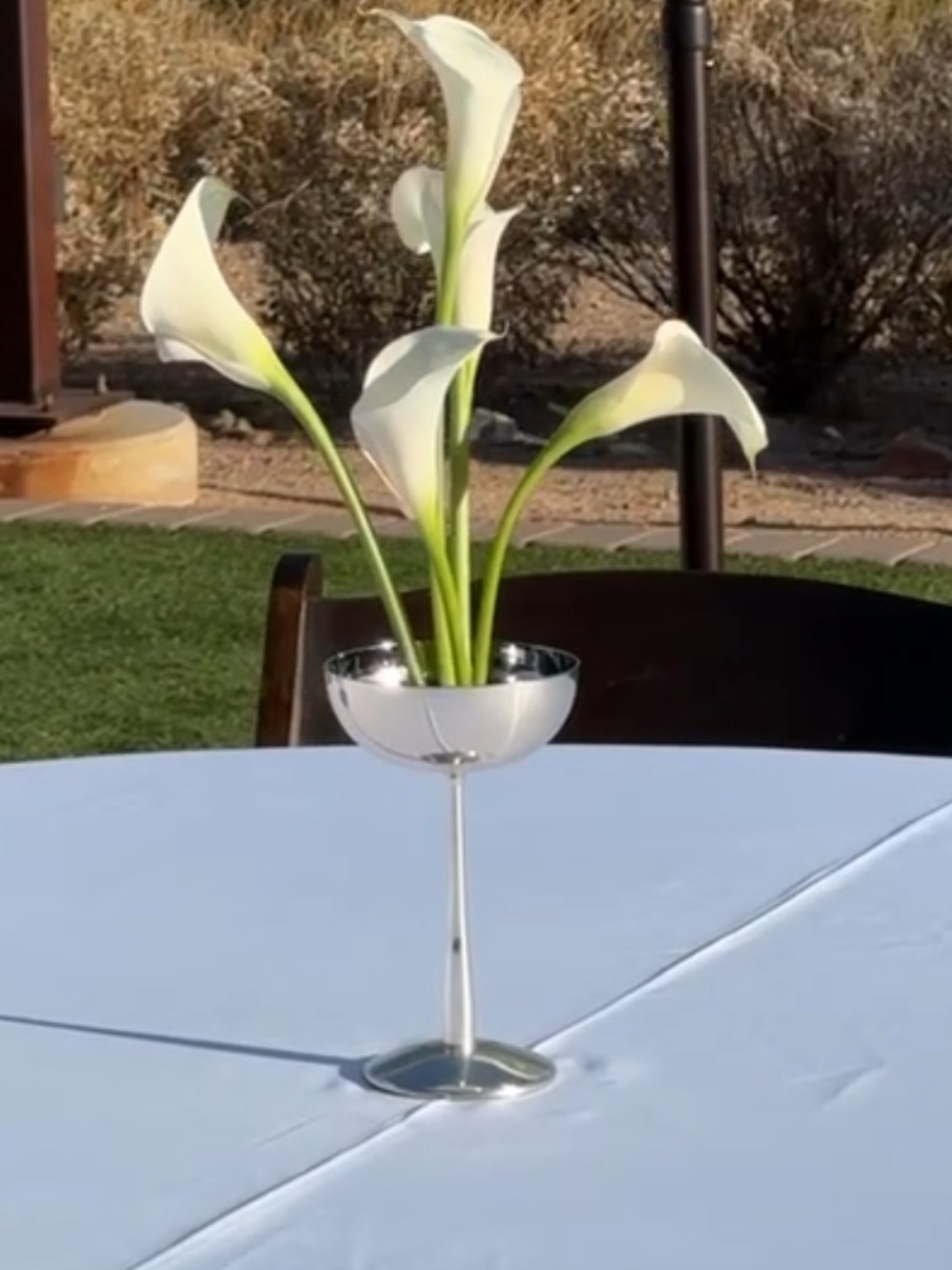 CB2 Silver Coupe Glasses